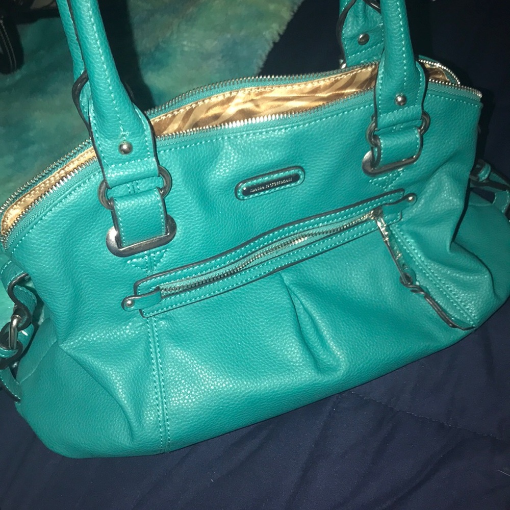 Dana Bunchman hand bag